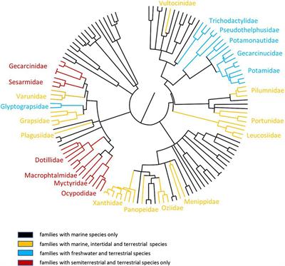 Ionic regulatory strategies of crabs: the transition from water to land